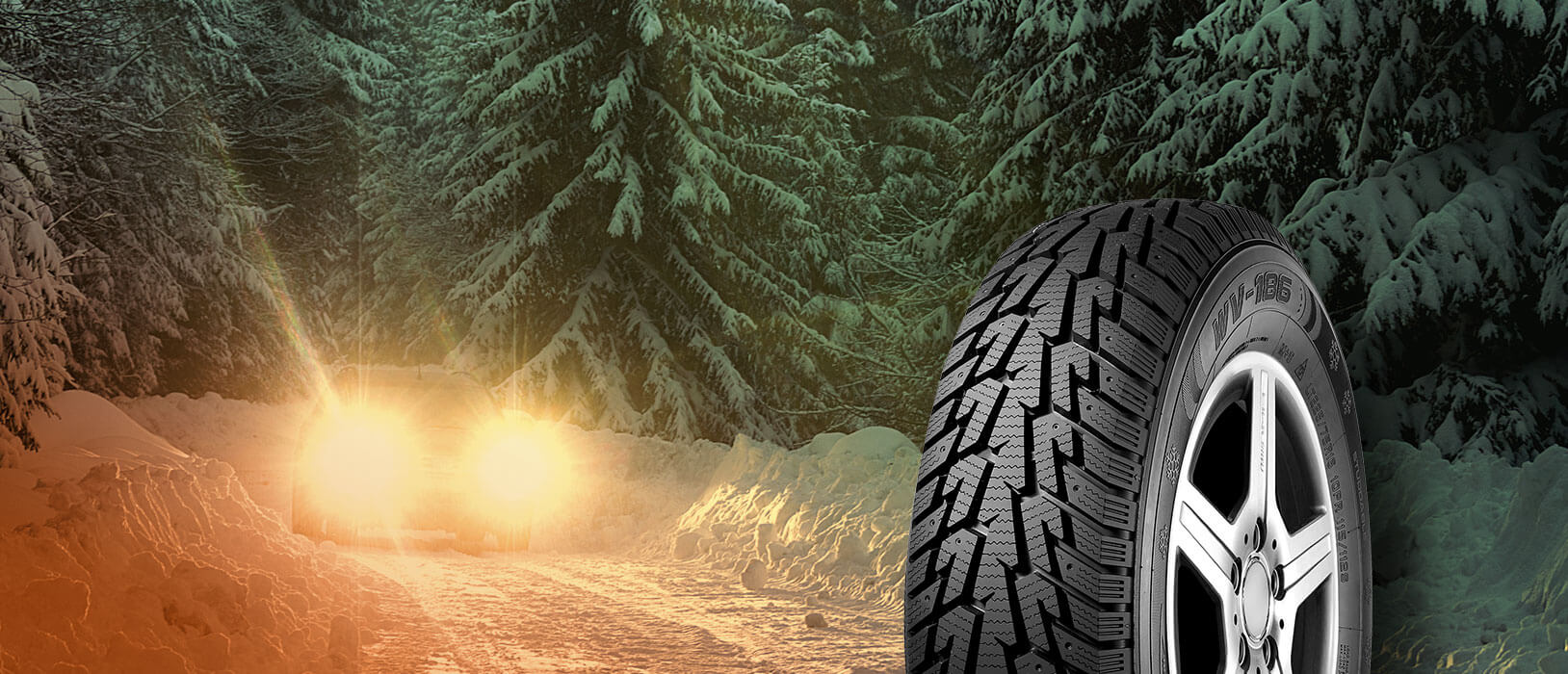 Ovation Winter Tire With Car